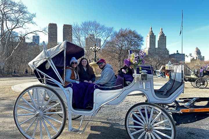 Central Park Horse and Carriage Tour — Private 40–45 Minute Guided Ride photo 2