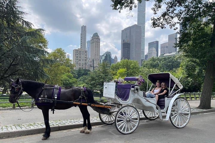 Central Park Horse and Carriage Tour — Private 40–45 Minute Guided Ride photo 3