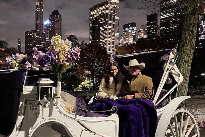 Central Park Horse and Carriage Tour — Private 40–45 Minute Guided Ride photo 5