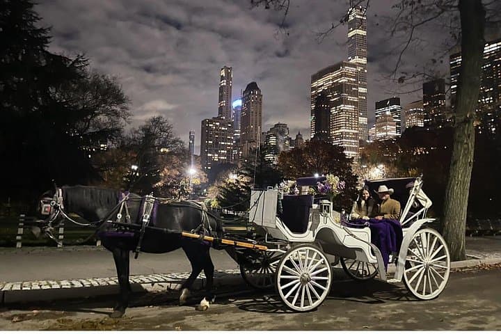 Central Park Horse and Carriage Tour — Private 40–45 Minute Guided Ride photo 6