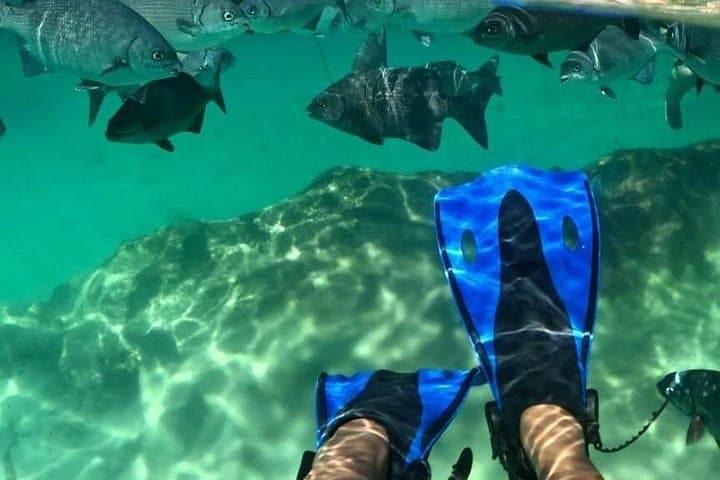 Xel-Há All-Inclusive Tour: Snorkel Coves, Zip Lines & Jungle Trails in the Riviera Maya photo 2