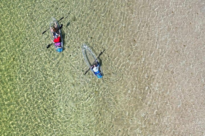 Clear Kayak Eco Tour at Robinson Preserve — Bradenton Clear Kayak Adventure photo 3