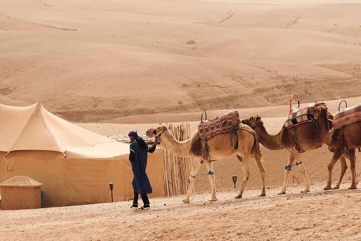 Full-Day Agafay Desert Quad Bike & Camel Ride with Luxury Camp from Marrakech photo 2