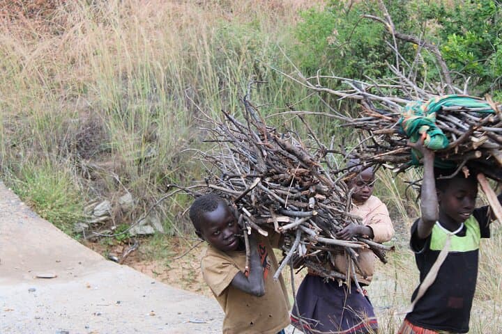 4-Day Private Safari: Multiday Masai Mara Expedition photo 3