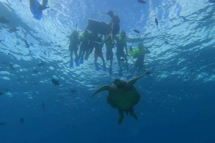 Snorkel with Hawaiian Turtles: Sea Scooters & Paddleboard Adventure Oahu photo 3