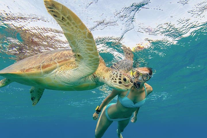 Snorkel with Hawaiian Turtles: Sea Scooters & Paddleboard Adventure Oahu