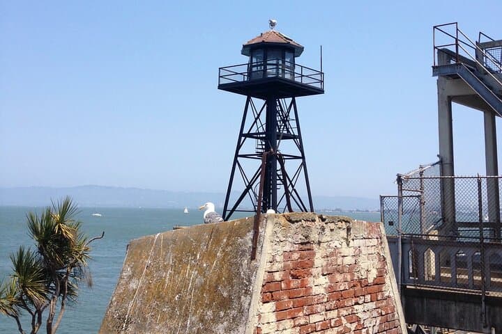 Alcatraz Island + Golden Gate Bay Cruise: Official Tour Guide and Tips photo 5