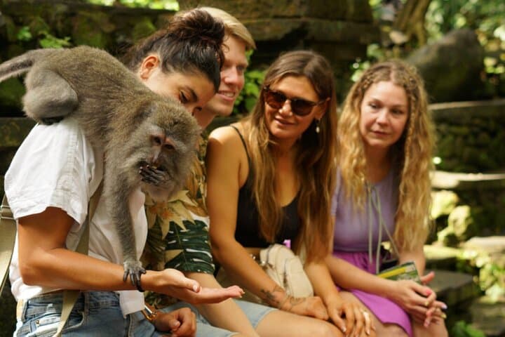 Ubud Private Customized Tour: Art, Rice Terraces & Temple Rituals in One Day photo 6