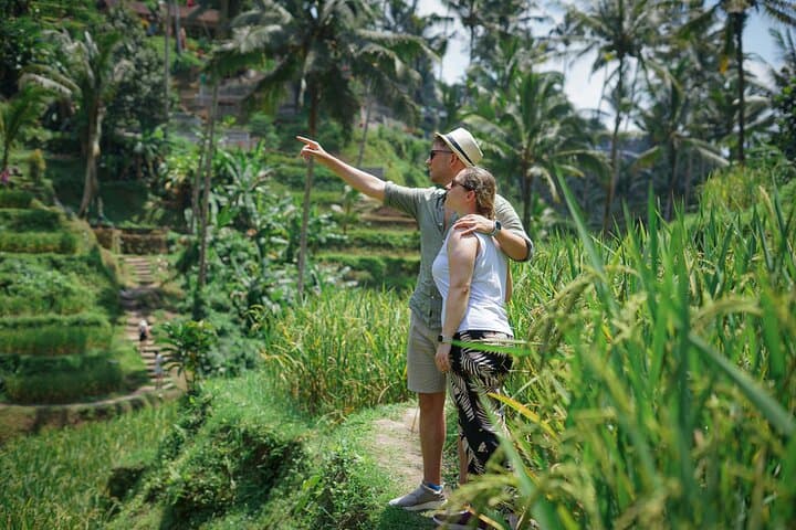 Best of Ubud: Waterfall, Temple, Monkey Forest & Rice Terrace Day Tour photo 6