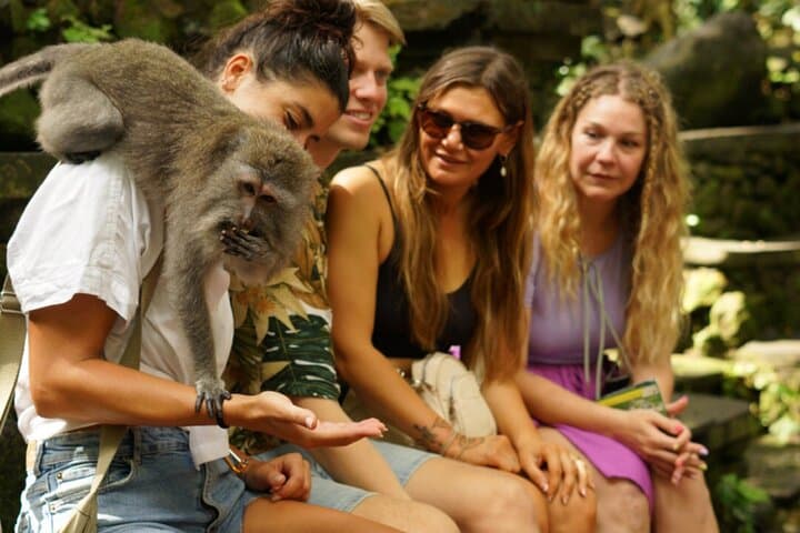 Best of Ubud: Waterfall, Temple, Monkey Forest & Rice Terrace Day Tour