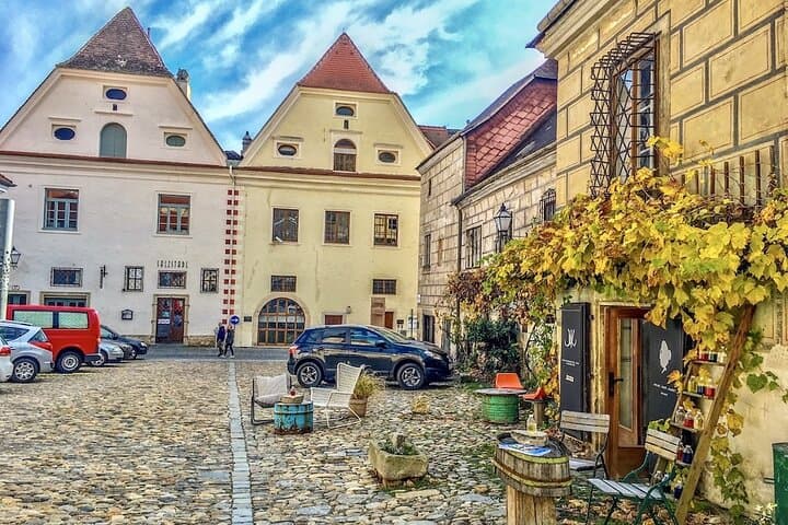Wachau Winter Walk: Krems Vineyard Hike & Danube Views