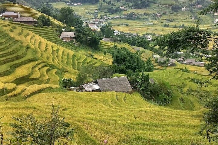 Sapa Rice-Terrace Trek with Hmong Guide: Lao Chai to Ta Van Day Hike photo 3
