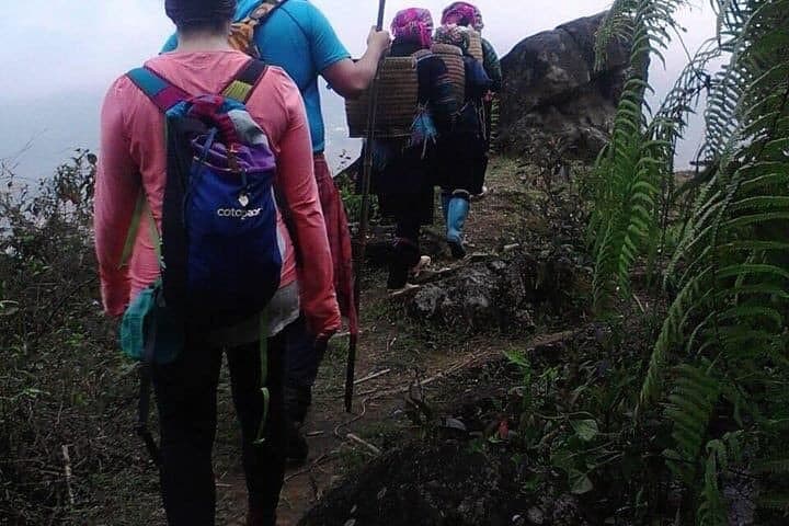 Sapa Rice-Terrace Trek with Hmong Guide: Lao Chai to Ta Van Day Hike photo 4
