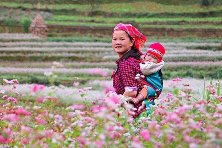 Dong Van Loop: 2-Day Ha Giang Car Tour through Ma Pi Leng & Dong Van Geopark photo 6