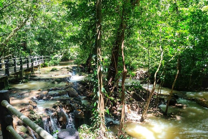 Tiger Cave Temple and Emerald Pool Day Tour from Krabi photo 2