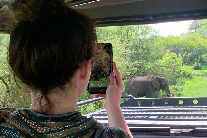 3-Day Private Serengeti & Ngorongoro Safari from Arusha (Mid-Range) photo 2