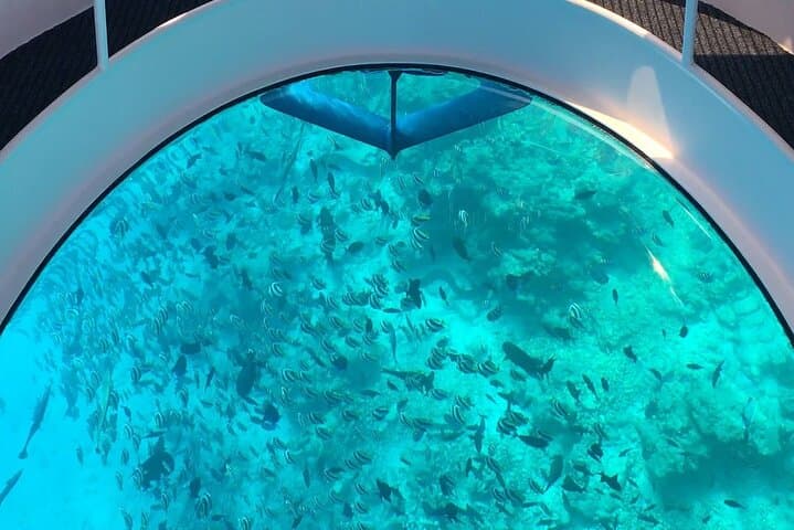 Red Sea Glass-Bottom Boat and Snorkel Tour from Hurghada photo 5