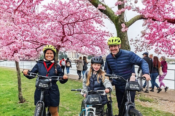 Pedaling the Cherry Blossoms: A 2-Hour Bike Tour Around DC’s Tidal Basin photo 2