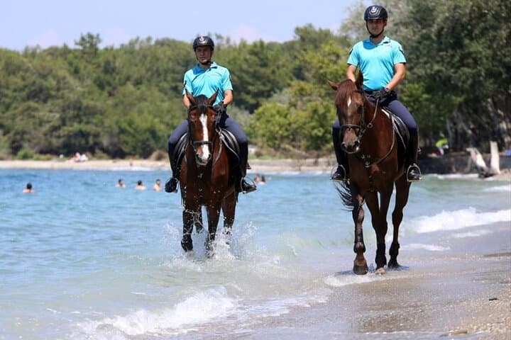 Antalya Horse Safari: Ride Lara Beach and Pine Forest