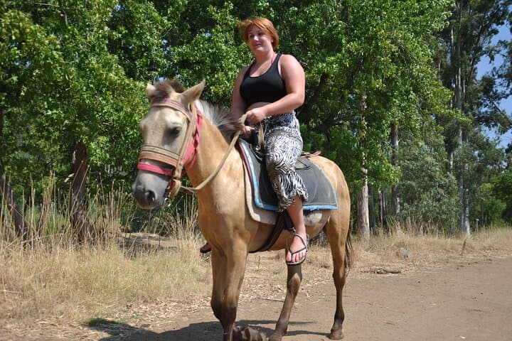 Antalya Horse Safari: Ride Lara Beach and Pine Forest photo 4