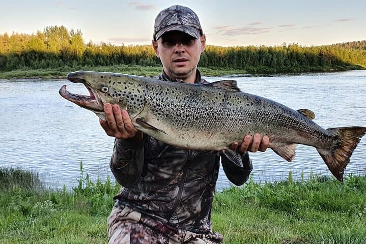 Fishing Levi: Summer Guided Angling Adventure in Lapland