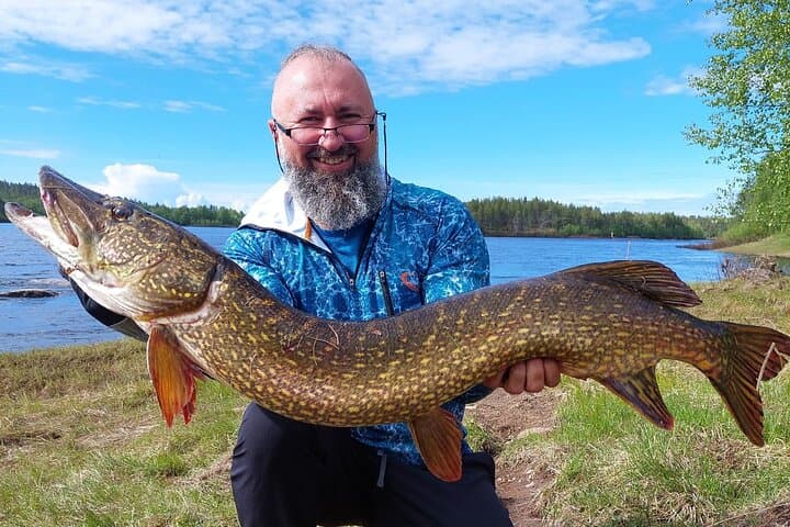 Fishing Levi: Summer Guided Angling Adventure in Lapland photo 5