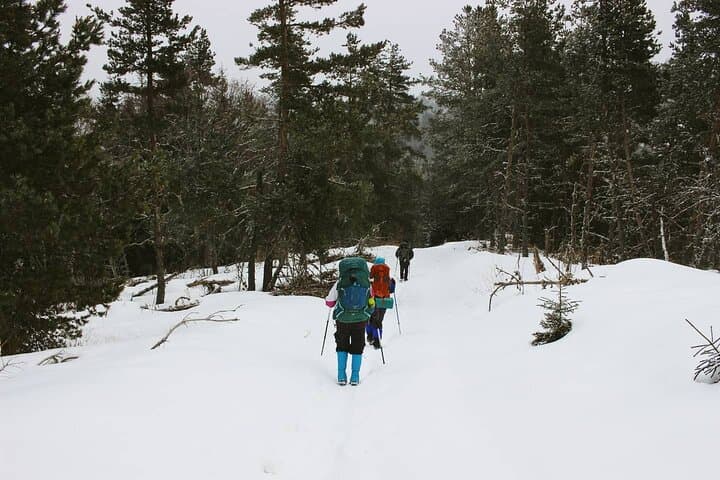 Winter Snowshoeing: 2-Day Snow Shoes Trail in Borjomi-Kharagauli National Park photo 3