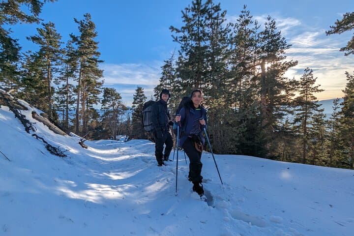Winter Snowshoeing: 2-Day Snow Shoes Trail in Borjomi-Kharagauli National Park