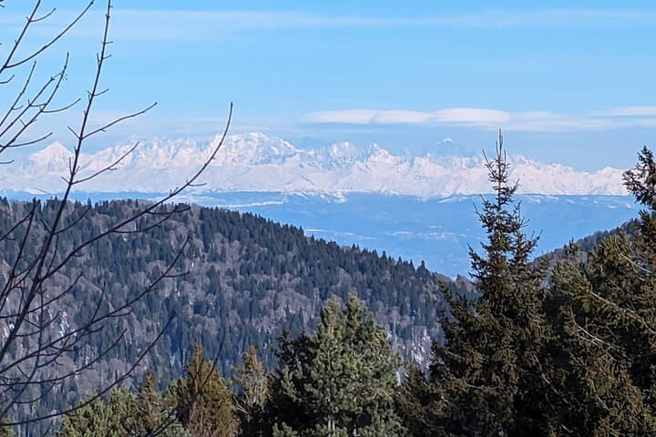 Winter Snowshoeing: 2-Day Snow Shoes Trail in Borjomi-Kharagauli National Park photo 4