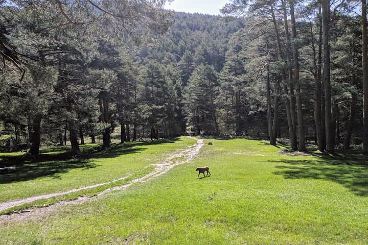 Madrid Mountains Free Walking Tour — Sierra de Guadarrama Hidden Trails photo 3