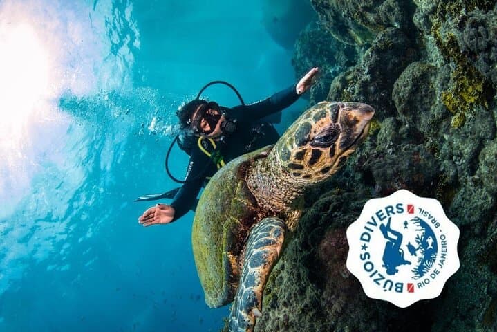 Scuba Diving in Búzios: Beginner Guided Dives to the Turtle Sanctuary photo 2