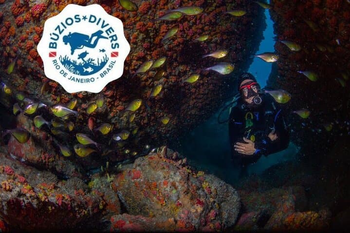 Scuba Diving in Búzios: Beginner Guided Dives to the Turtle Sanctuary photo 3