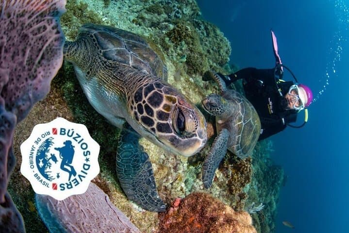 Scuba Diving in Búzios: Beginner Guided Dives to the Turtle Sanctuary photo 4