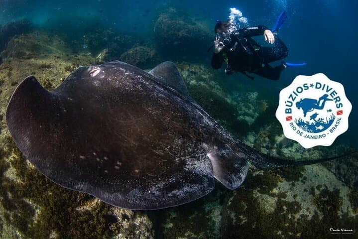 Scuba Diving in Búzios: Beginner Guided Dives to the Turtle Sanctuary photo 5