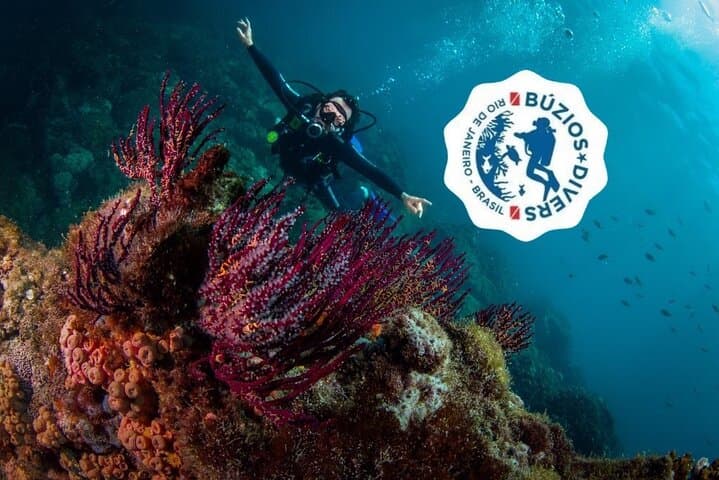 Scuba Diving in Búzios: Beginner Guided Dives to the Turtle Sanctuary photo 6