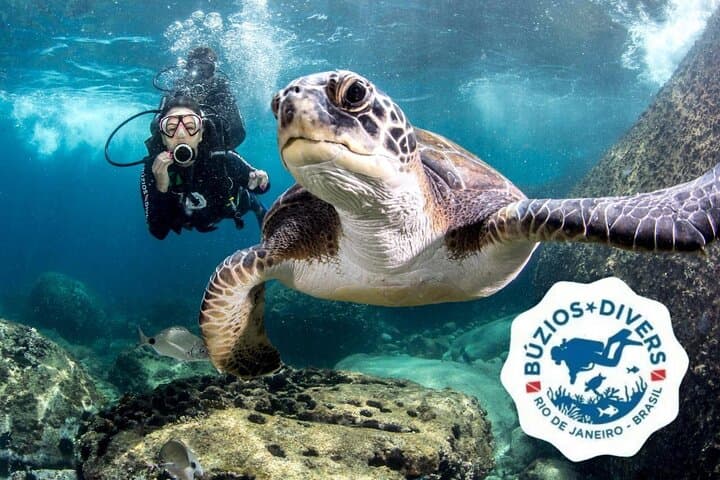 Scuba Diving in Búzios: Beginner Guided Dives to the Turtle Sanctuary