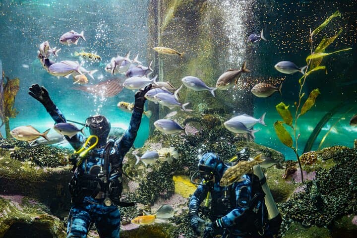 Napier National Aquarium: Mountains-to-Sea Marine Experience in Hawke's Bay