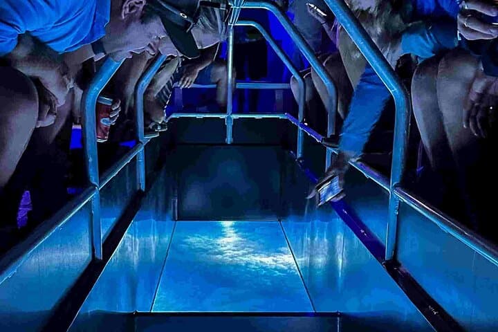 Glass-Bottom Night Tour at Airlie Beach: See the Reef Without Getting Wet