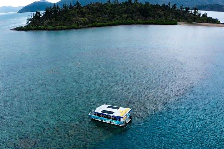 Glass-Bottom Night Tour at Airlie Beach: See the Reef Without Getting Wet photo 3