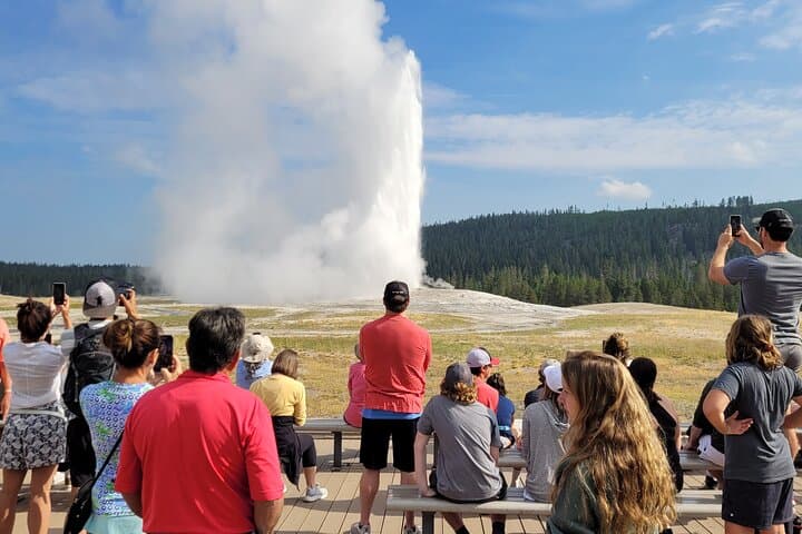Guided Lower Loop of Yellowstone from Cody — Old Faithful, Grand Prismatic & Wildlife Viewing photo 2