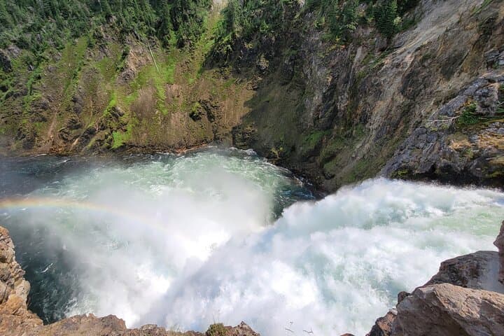 Guided Lower Loop of Yellowstone from Cody — Old Faithful, Grand Prismatic & Wildlife Viewing photo 6