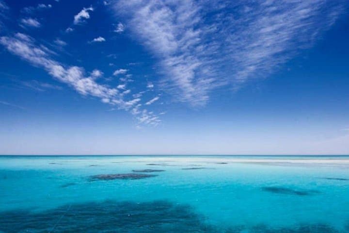 Ras Mohamed & White Island Red Sea Snorkel and Dive Cruise from Sharm El Sheikh photo 3