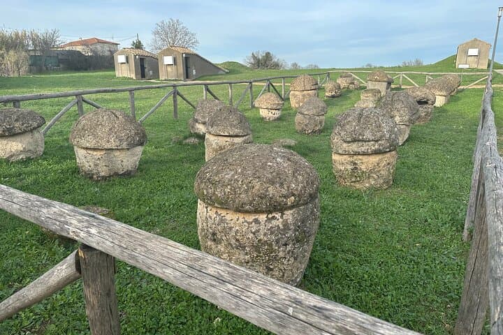 Tarquinia Etruscan Necropolis & National Archaeological Museum Private Tour Guide photo 3