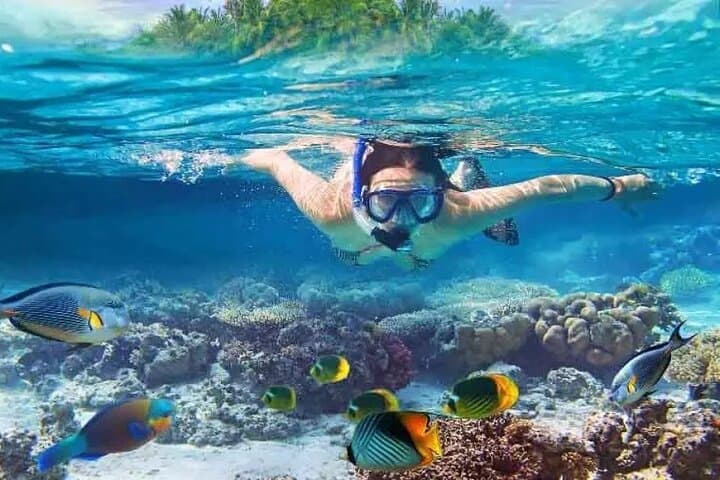 Nusa Penida West Snorkel & Sightseeing — Manta Rays, Kelingking & Angel's Billabong photo 1