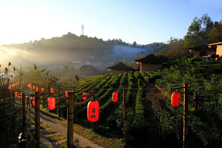 Doi Inthanon Twin Pagodas & Wachirathan Waterfall — Private Day Tour from Chiang Mai photo 2