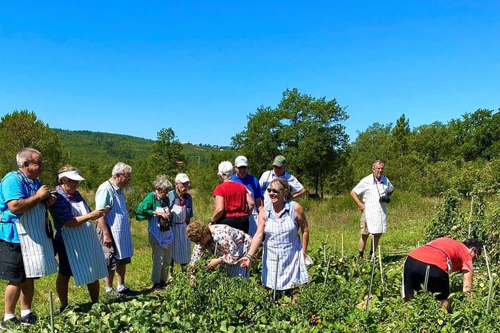 Secrets of Dalmatian Cuisine: Cooking Class at a Konavle Family Estate photo 2