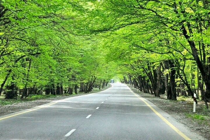 Baku to Shahdag: 3-Night Azerbaijan Adventure — Gobustan, Gabala & Yanar Dag