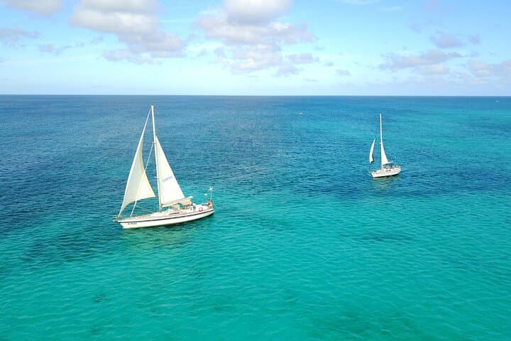 Blue Parrot Snorkel Sail Aruba: Private 4-Hour Charter with 4-Course Meal & Snorkeling photo 6