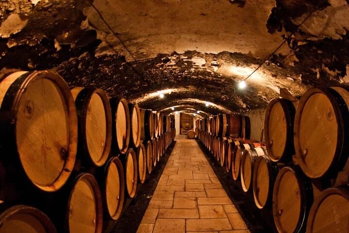 Champagne Region Day Tour from Paris — Private Driver, Moët & Chandon & Reims Cathedral