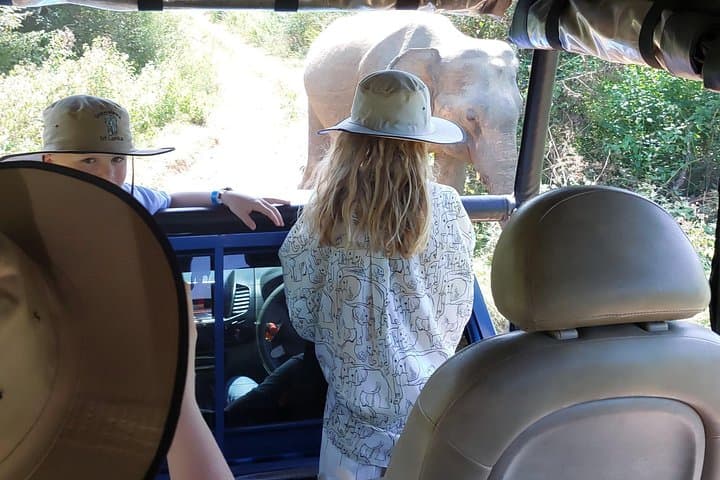 Yala National Park Safari: Spot Leopards, Elephants and Coastal Wetlands photo 4